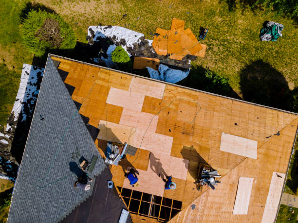 Best Roof Gutter Cleaning  in Rice Lake, WI